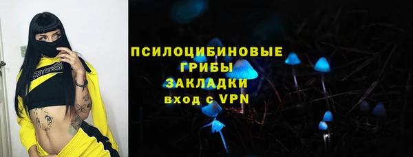ГАЛЛЮЦИНОГЕННЫЕ ГРИБЫ Наволоки