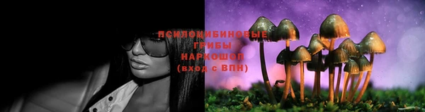 ГАЛЛЮЦИНОГЕННЫЕ ГРИБЫ Наволоки