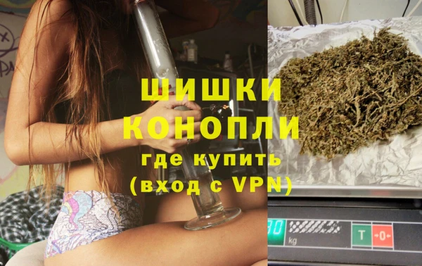 стаф Нефтегорск
